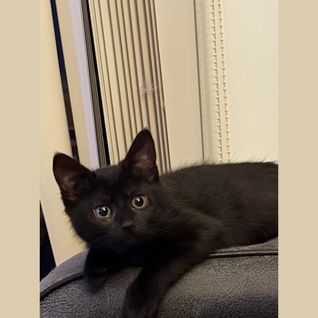 Photo of Mila