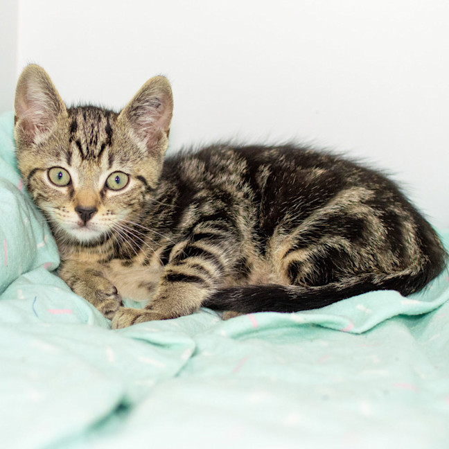 Photo of Ernie
