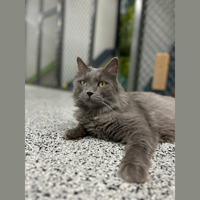 Photo of Roman