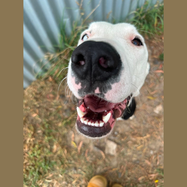 Photo of Spooky