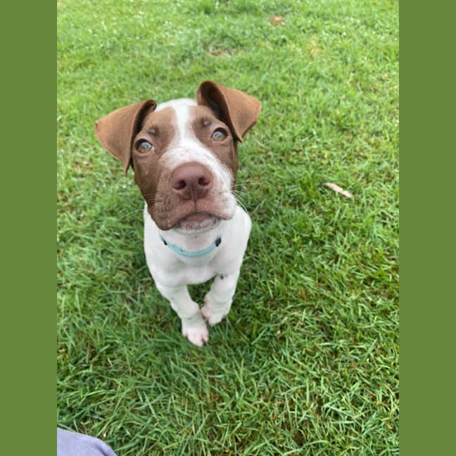 Photo of Wyatt