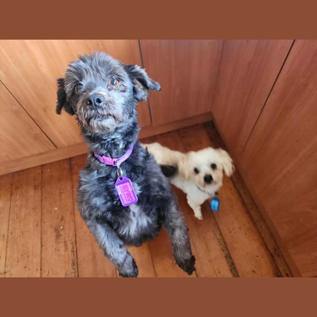 Photo of Cinder And Aj 