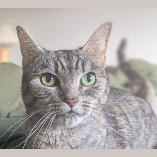 Photo of Lola 