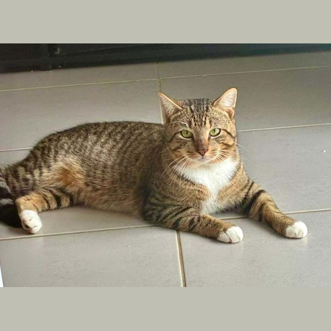 Photo of Sammy
