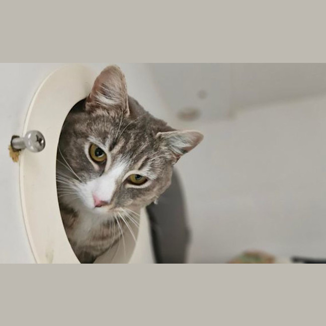 Photo of Sally