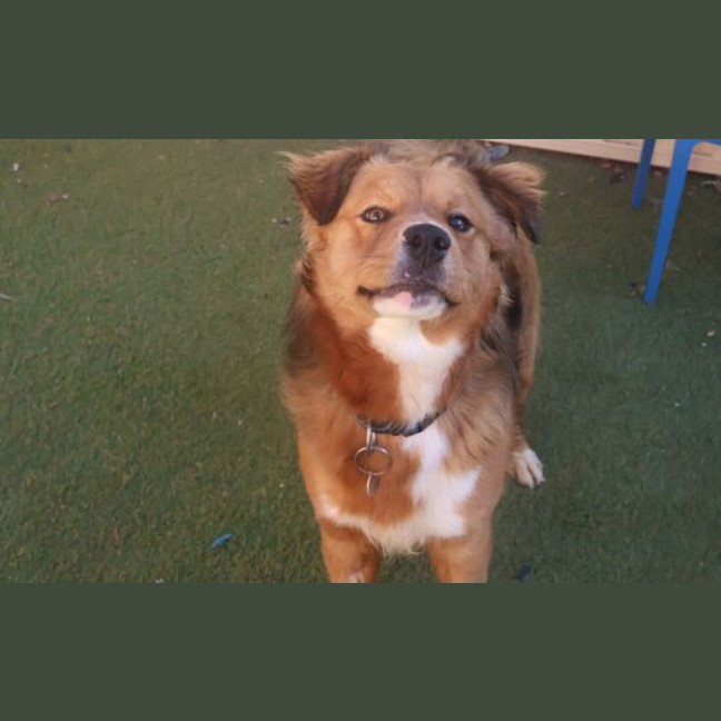 Photo of Atlas