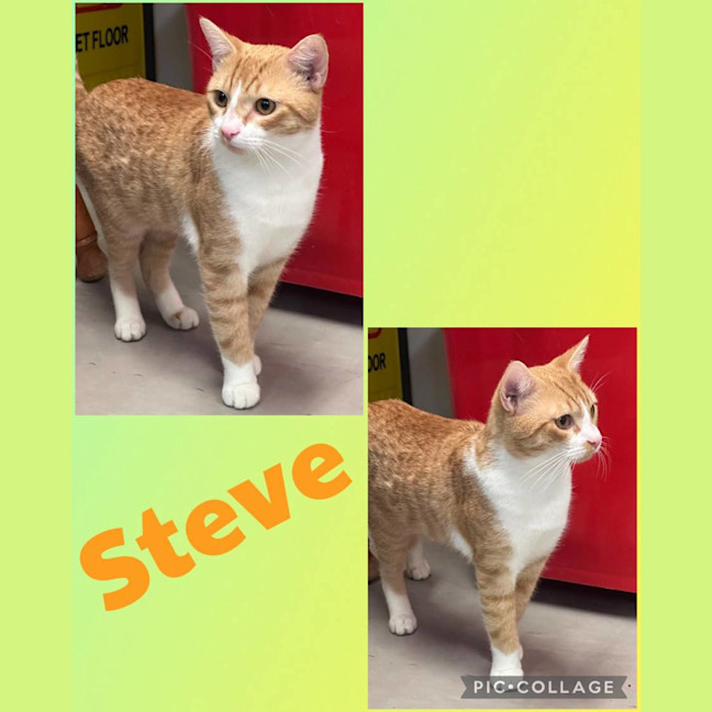 Photo of Steve