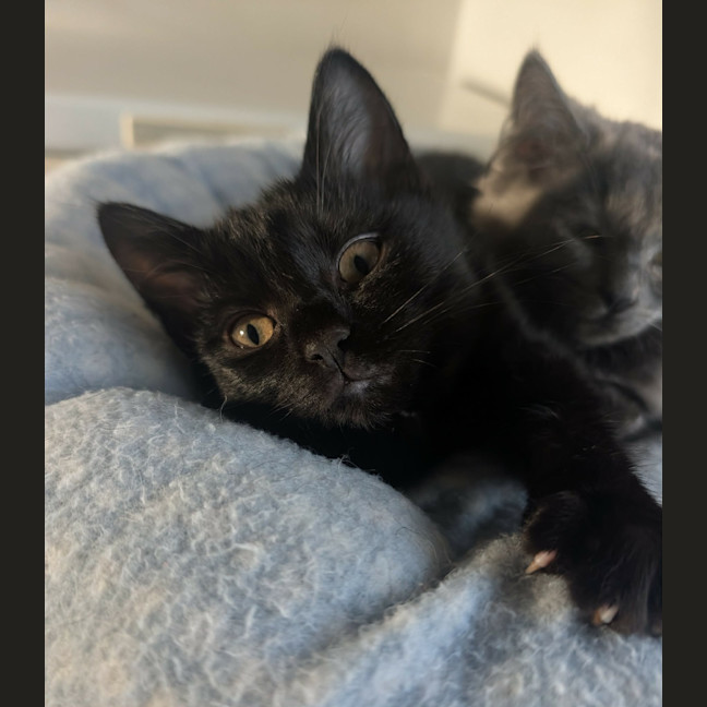 Photo of Mercury