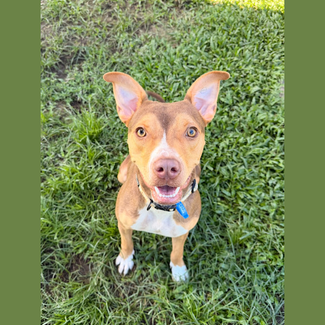 Photo of Coco