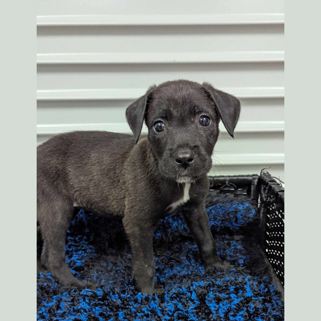 Photo of Christina Waguilera