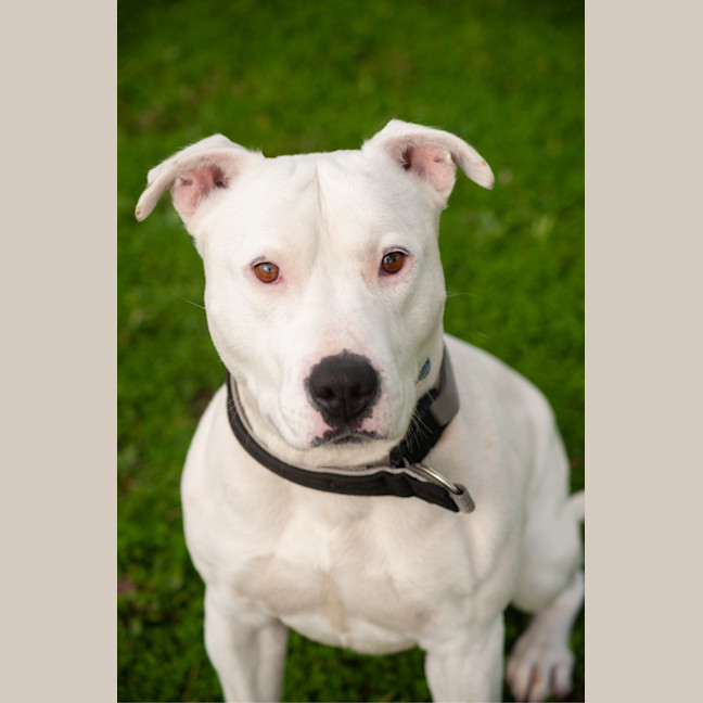 Photo of Max