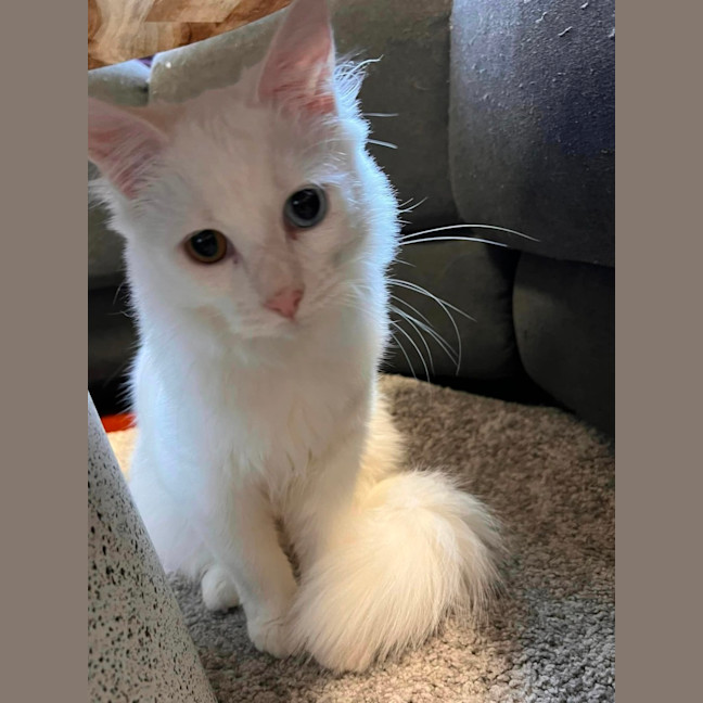 Photo of Miss Mellow