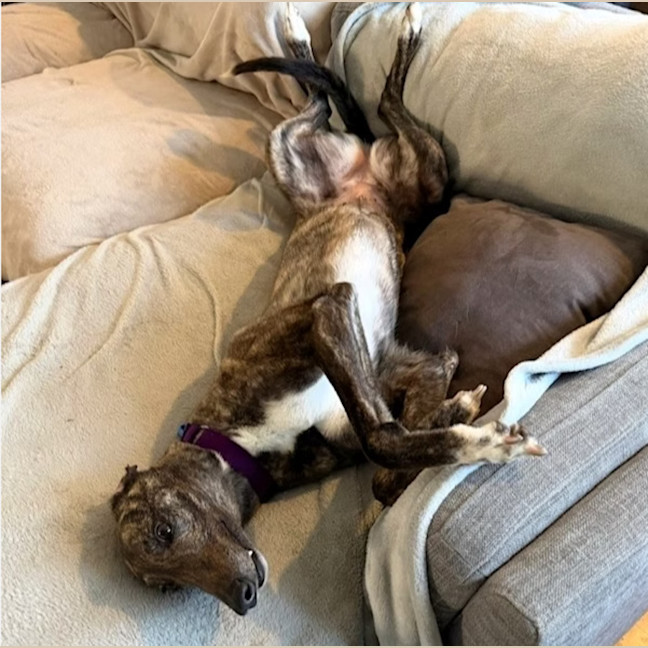 Photo of Betty