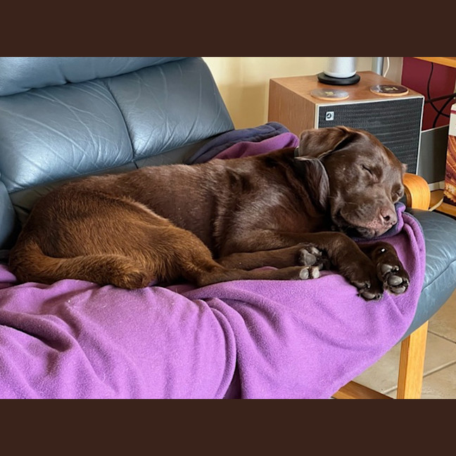 Photo of Max