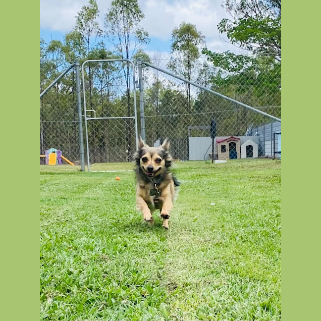 Photo of Lola
