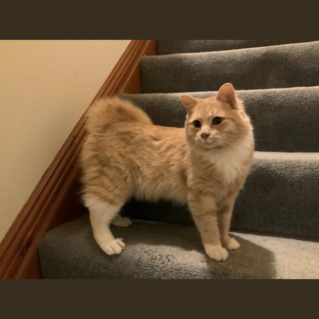 Photo of Ricardo Silvanus