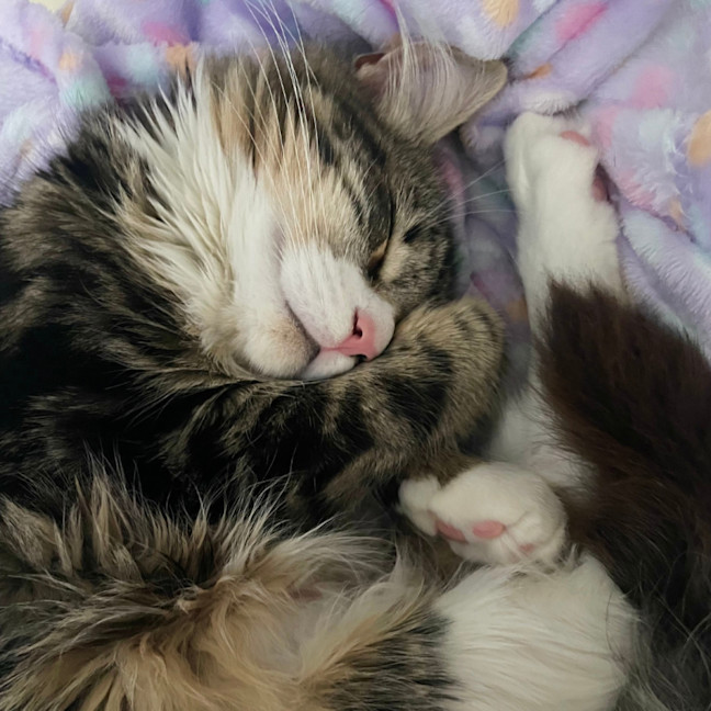 Photo of Winnie