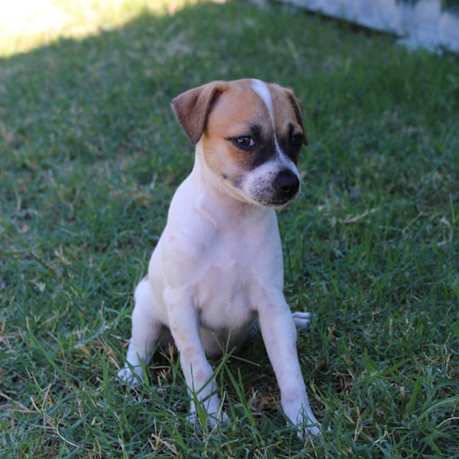 Photo of Mia