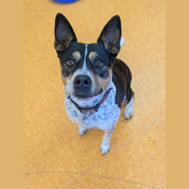 Photo of Leela