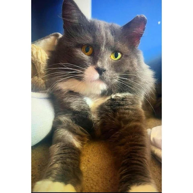 Photo of 11797   Tate