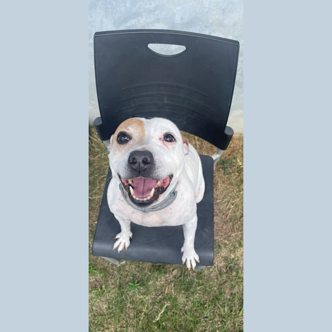 Photo of Molly (0976)