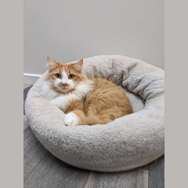 Photo of Sooki   Located In Preston 