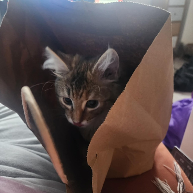 Photo of Salsa   Located In Melbourne