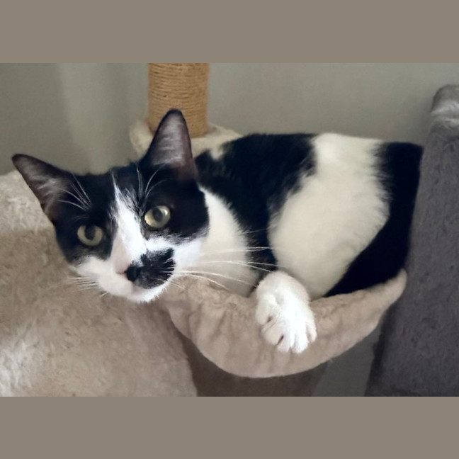 Photo of Hank & Halle