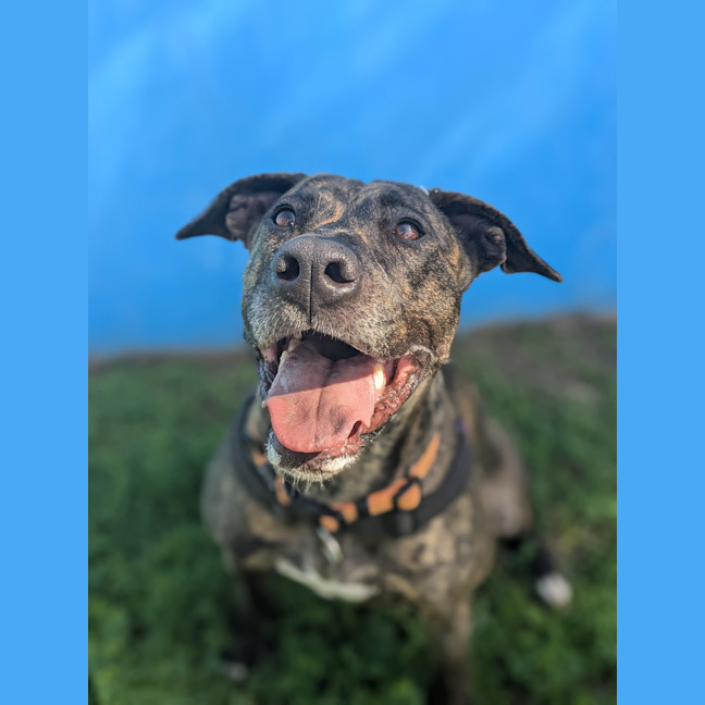 Photo of Ash