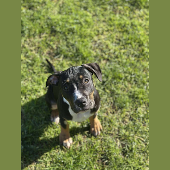 Photo of 🧭 Freddie 6359 🧭