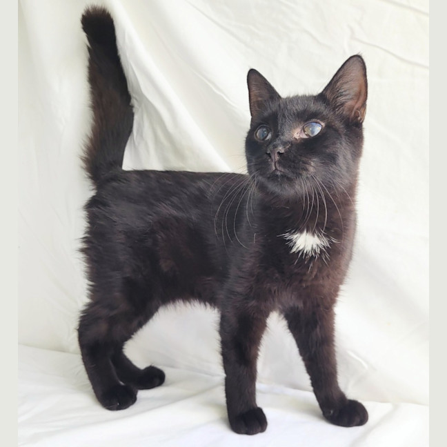 Photo of Chandler 🩵