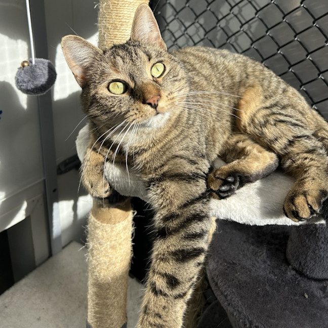 Photo of Tess