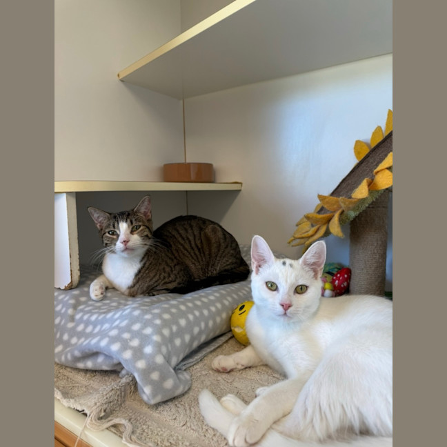 Photo of Cas And Turbo
