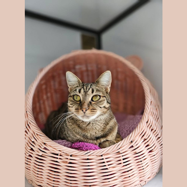 Photo of Kevvy   Burnie