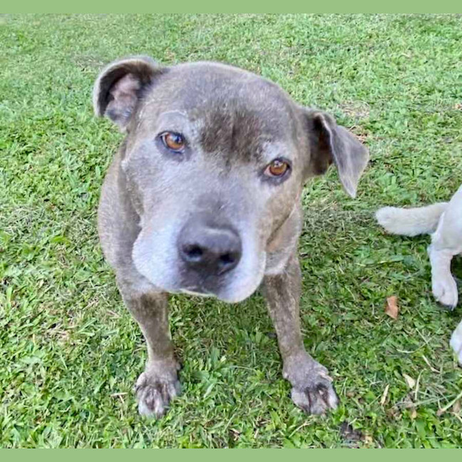 Photo of Harley And Tera