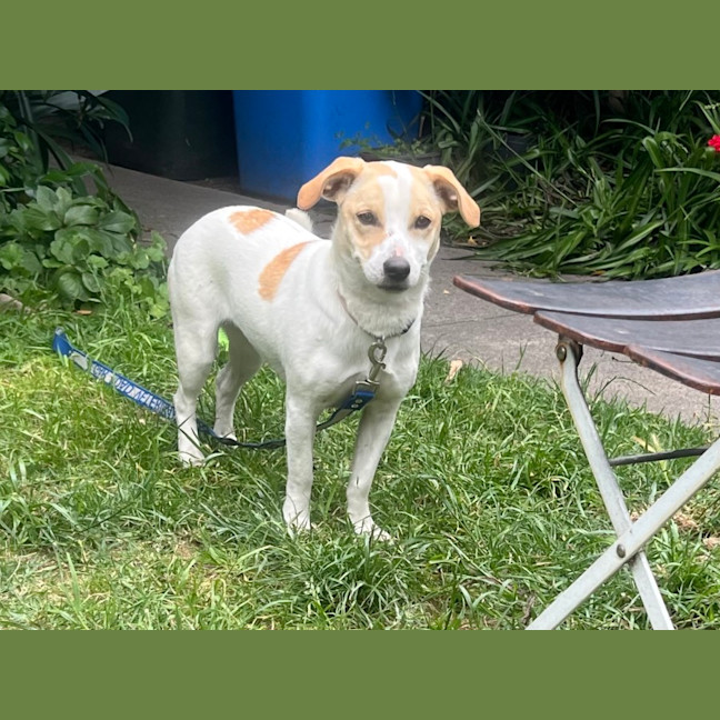 Photo of Bonnie Jrt