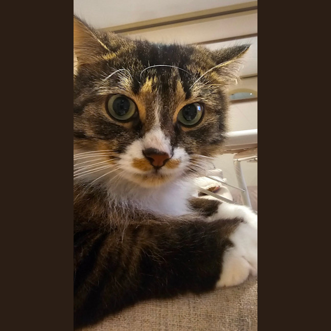 Photo of Princy
