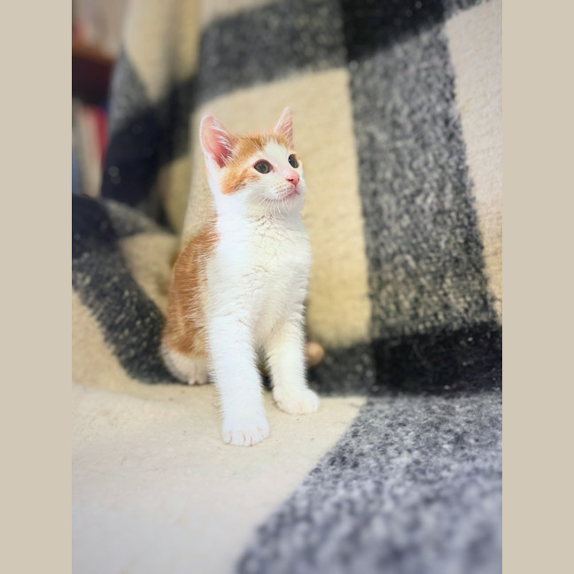 Photo of Fred