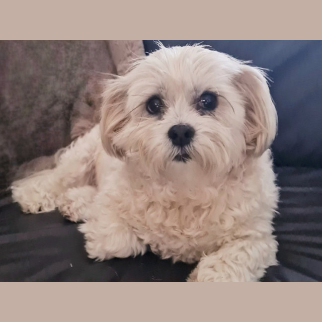 Photo of Molly Quinnell