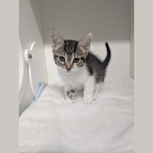 Photo of Clawdia