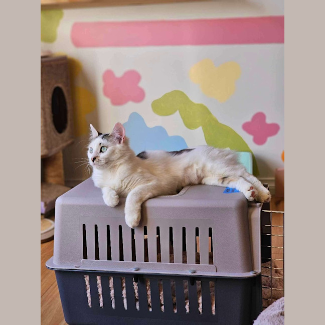 Photo of Hallie