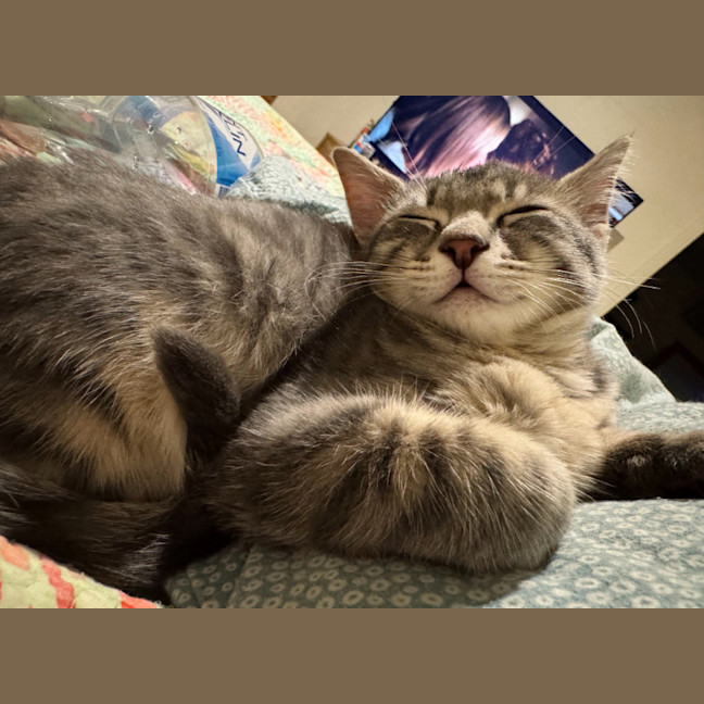 Photo of Freddie Aka Freaking Freddie