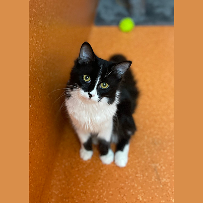 Photo of Winnie 