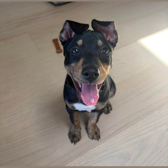 Photo of Cooper 🫶🏻