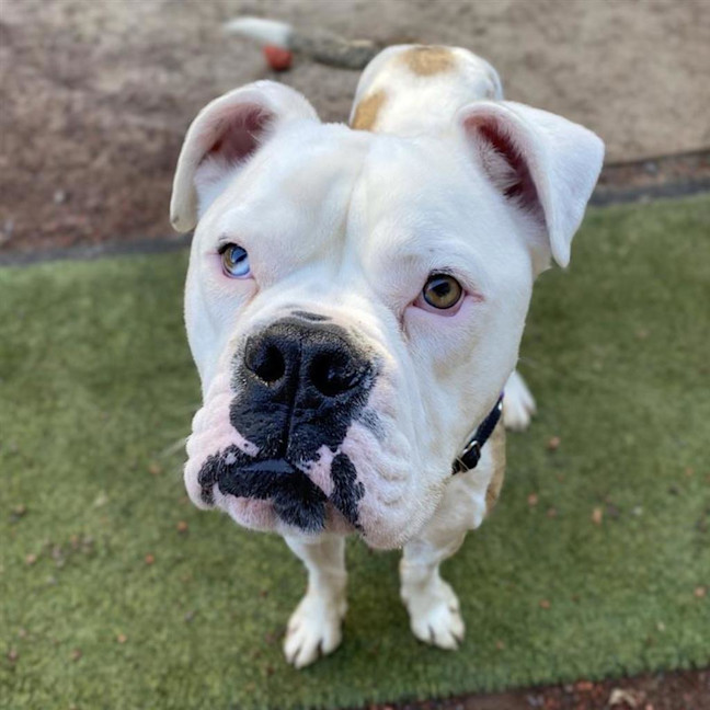 Photo of Thor