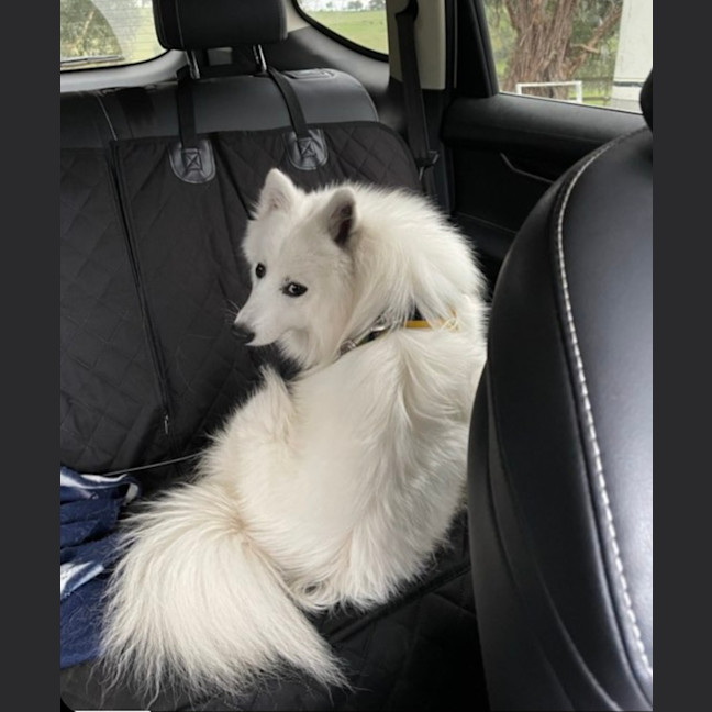 Photo of Casper 