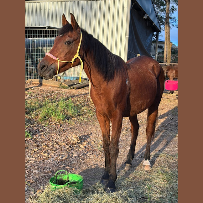 Photo of Delilah