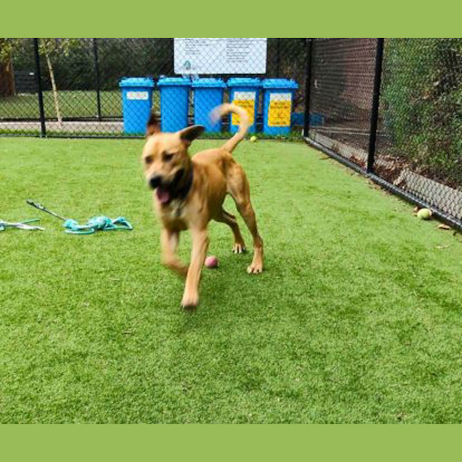 Photo of Mike Wheeler