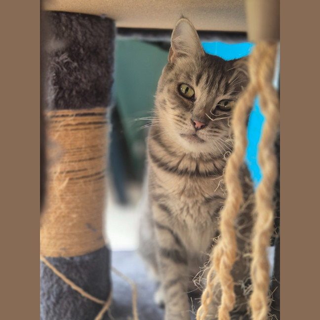 Photo of Cleo