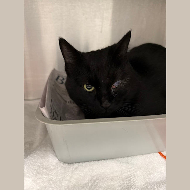 Photo of Cash